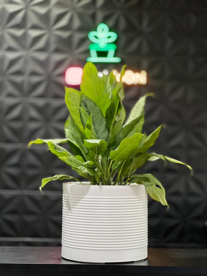 گلدان پلی اتیلن مدل آوین