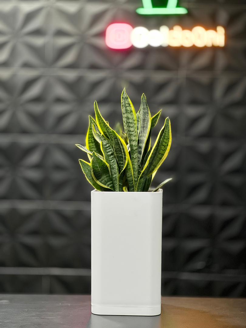 گلدان پلیمری استوانه مکعب