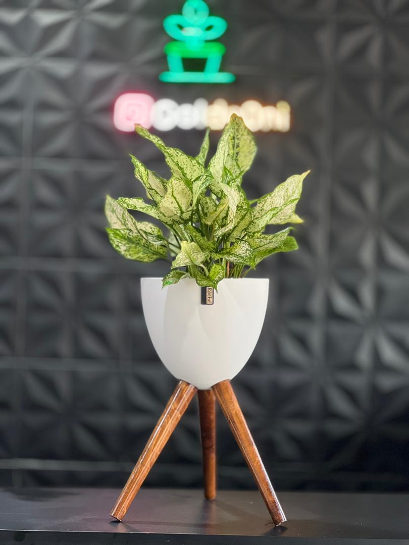 گلدان پلیمری پایه دار بزرگ