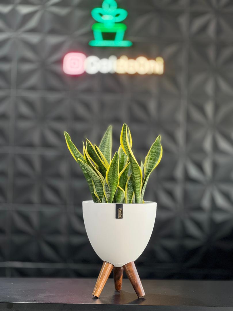 گلدان پلیمری پایه دار کوچک