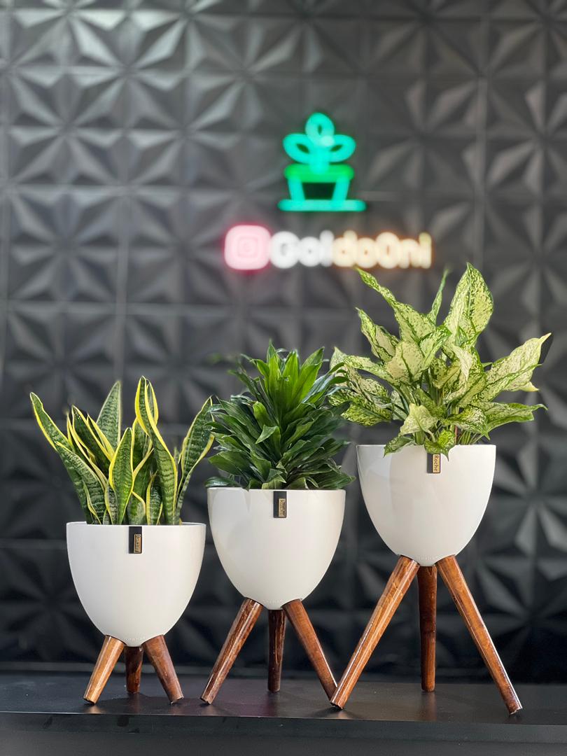 گلدان پلیمری پایه دار 3 تیکه