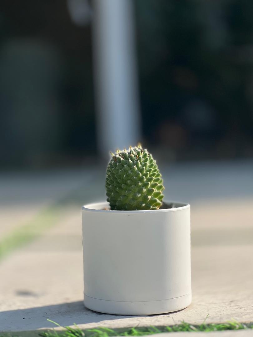 گلدان پلیمری استوانه مهرنی کد 103/10