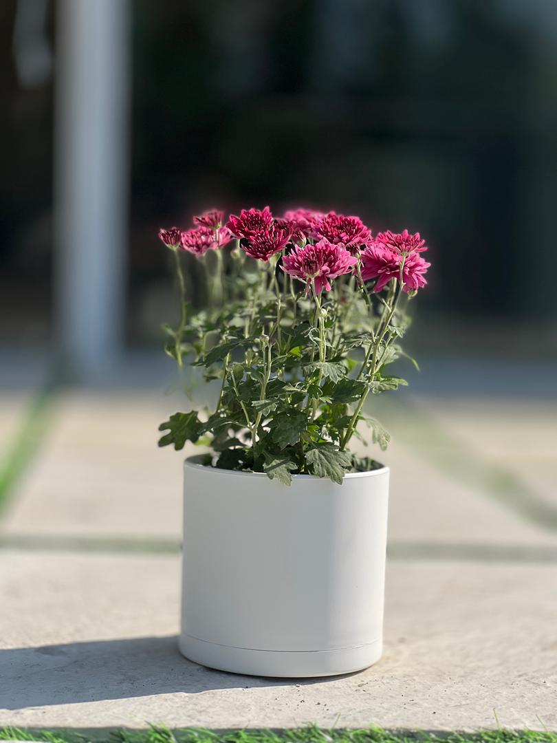 گلدان پلیمری استوانه مهرنی کد 103/15