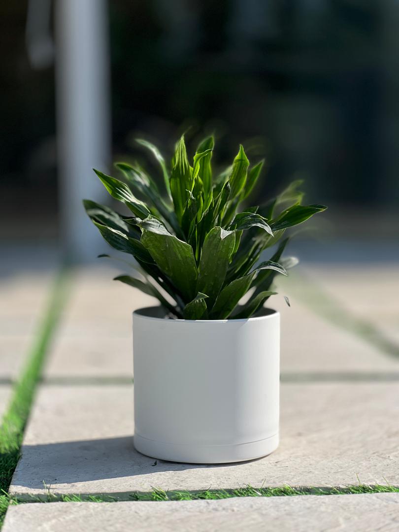 گلدان پلیمری استوانه مهرنی کد103/17.5