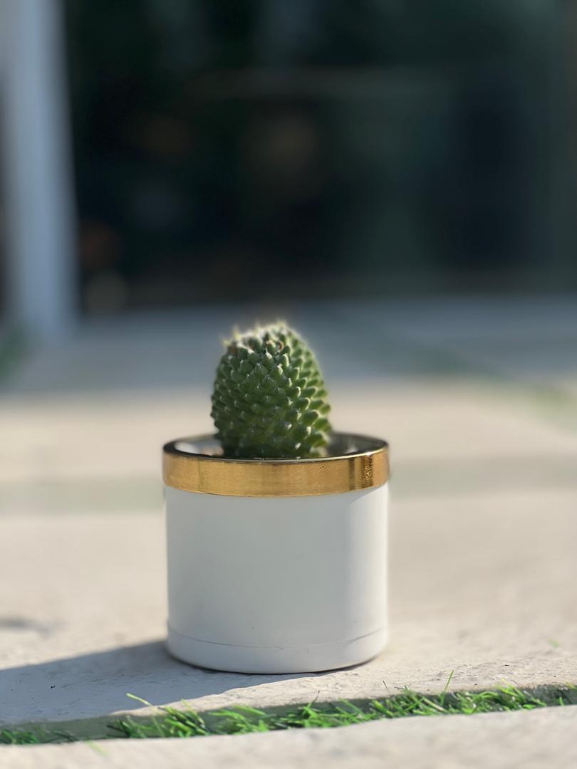 گلدان استوانه پلیمری 103/10 همراه با لبه طلایی