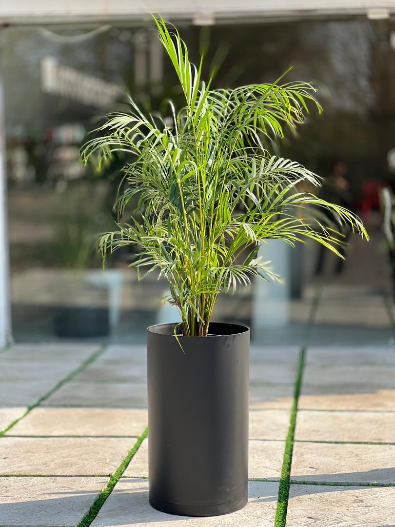 گلدان پلیمری استوانه بلند مهرنی کد123/35