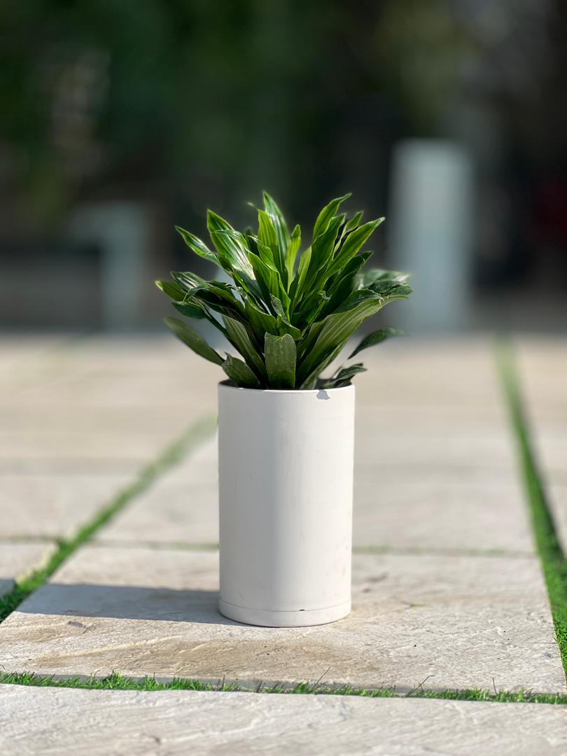 گلدان پلیمری استوانه بلند مهرنی کد 123/15