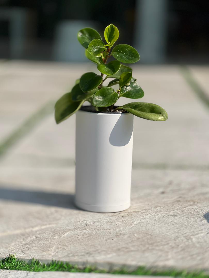 گلدان استوانه بلند مهرنی کد 123/10