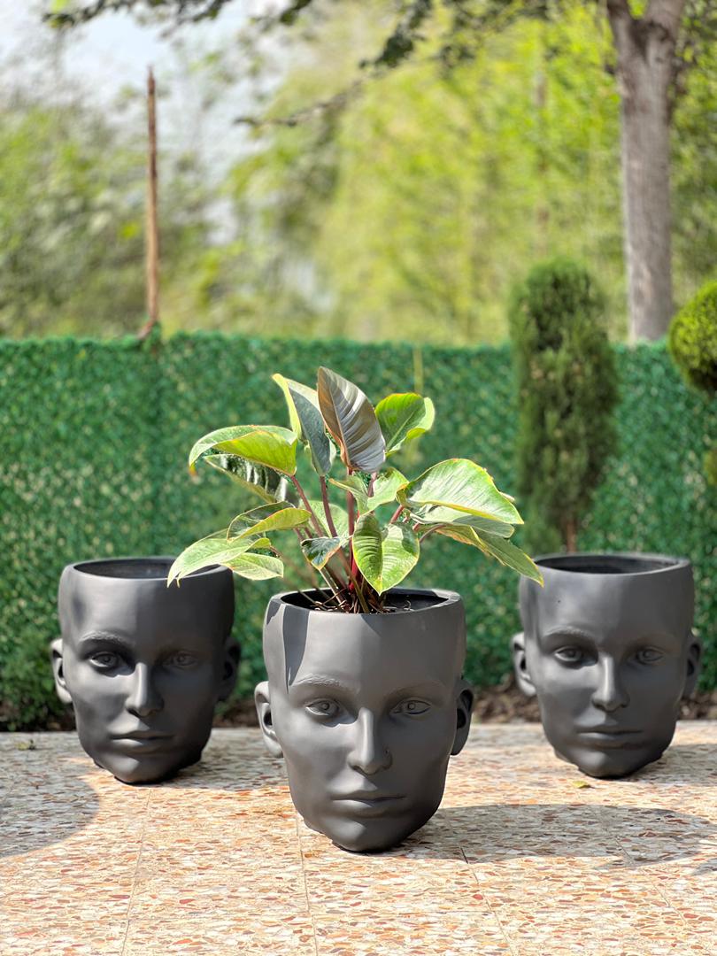 گلدان فایبر گلاس رخ