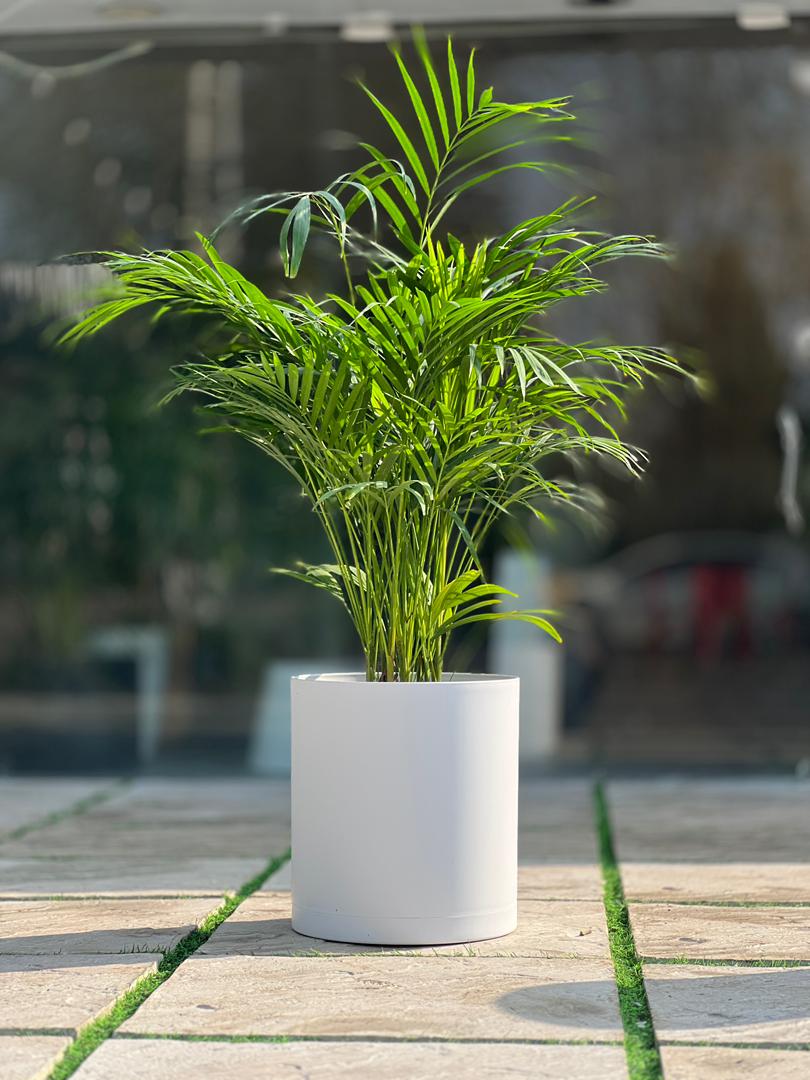 گلدان پلیمری استوانه مهرنی کد 103/35b