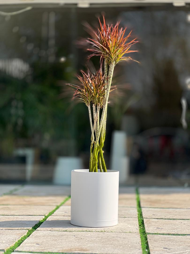 گلدان پلیمری استوانه مهرنی کد 103/30b