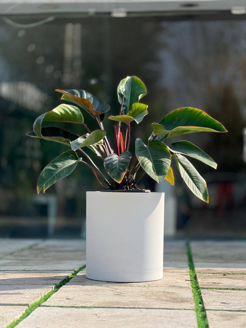 گلدان استوانه پلیمری کد 103/40b