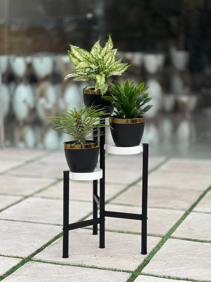 استند فلزی سه طبقه مدل راسپینا